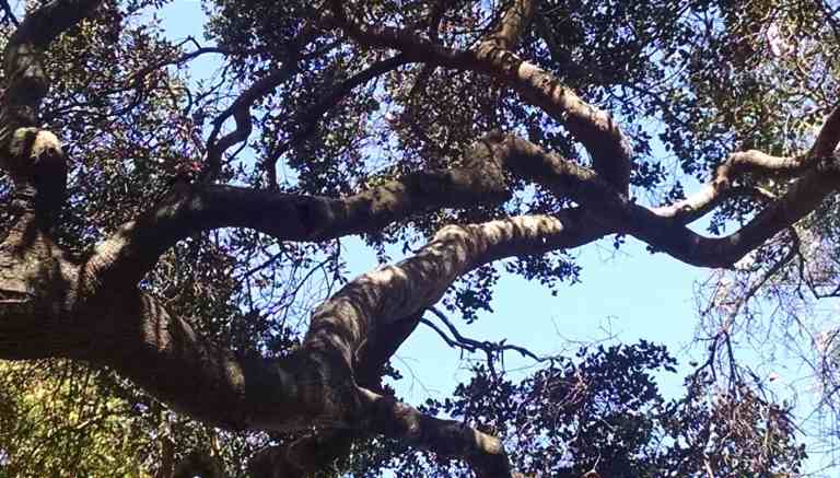 2014-10-05-11-43-07_lr