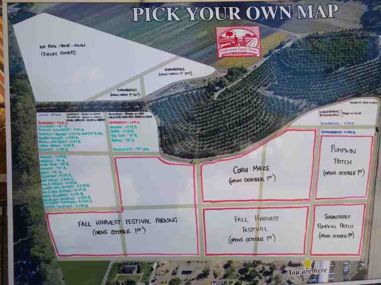 2016-10-03-11-27-25_lr