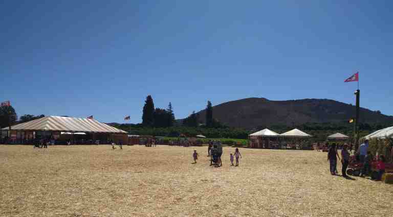 2016-10-03-11-39-29_lr