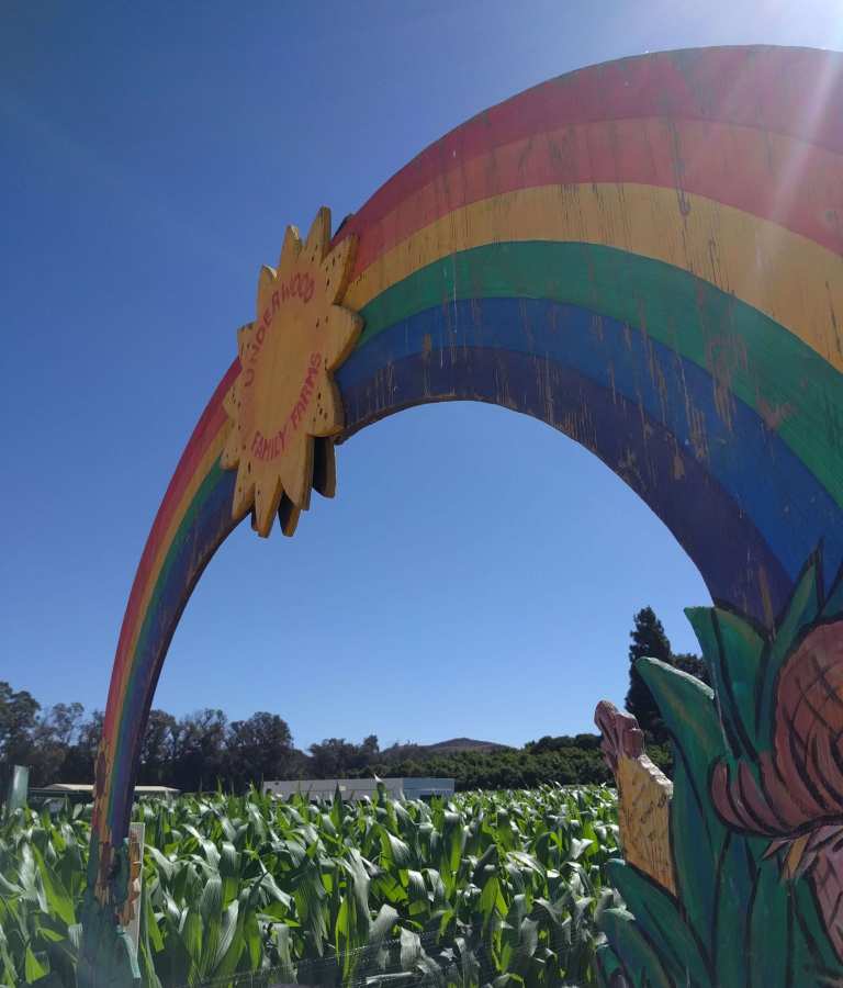 2016-10-03-11-43-14_lr