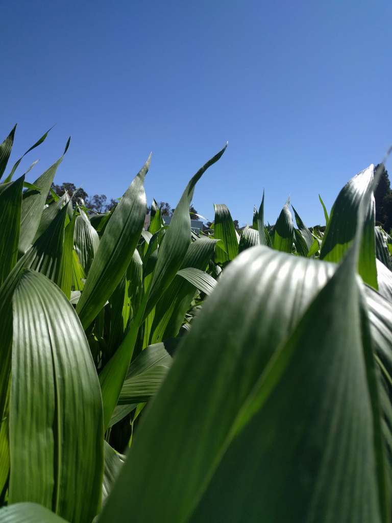 2016-10-03-11-43-34_lr