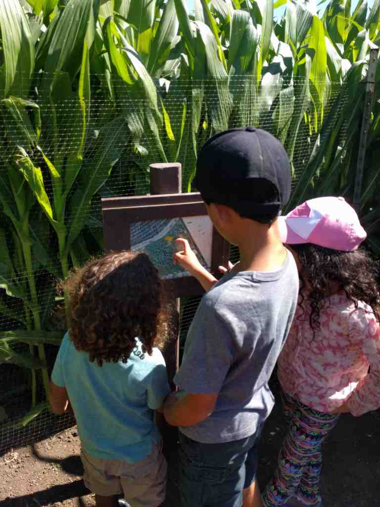 2016-10-03-11-51-09_lr