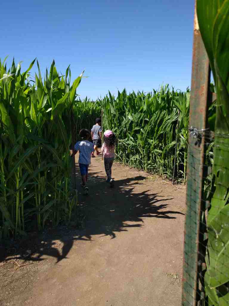 2016-10-03-11-53-05_lr