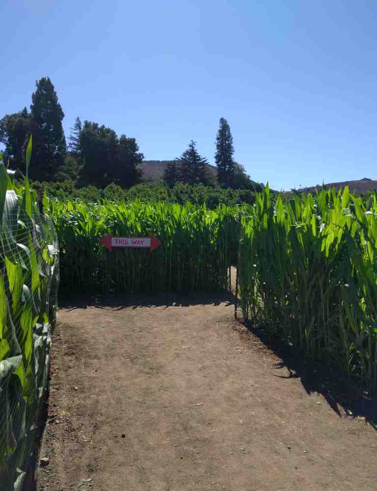 2016-10-03-11-59-37_lr