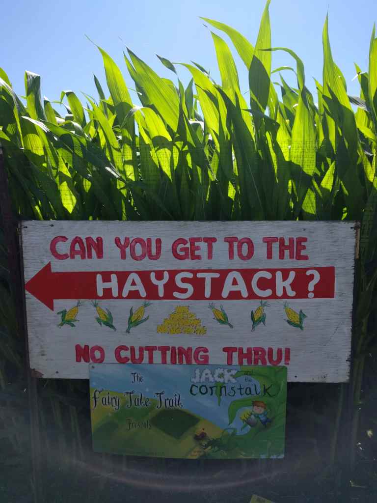 2016-10-03-12-01-37_lr