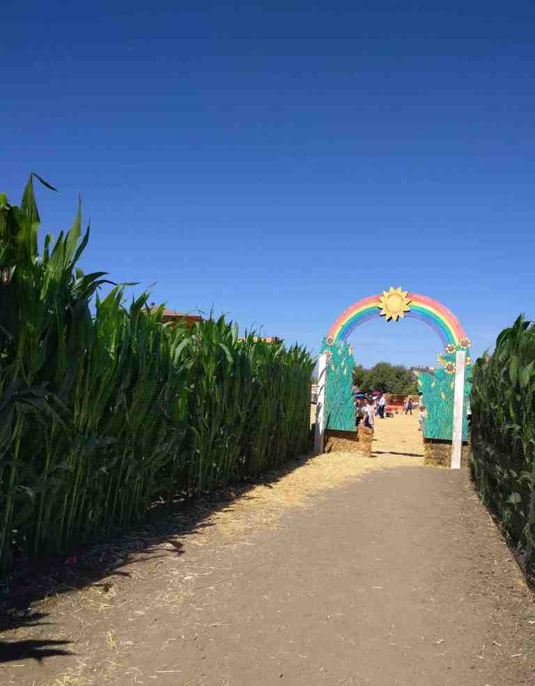 2016-10-03-12-01-56_lr