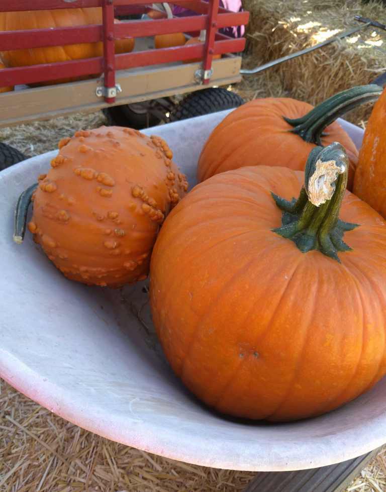 2016-10-03-12-03-22_lr