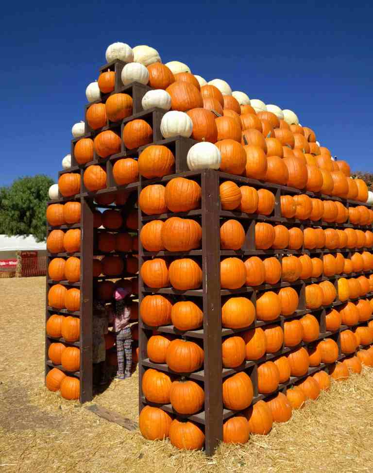 2016-10-03-12-08-44_lr