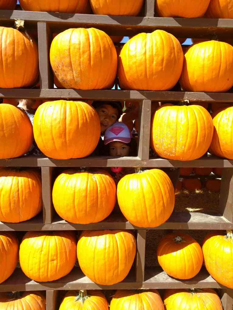 2016-10-03-12-10-38_lr