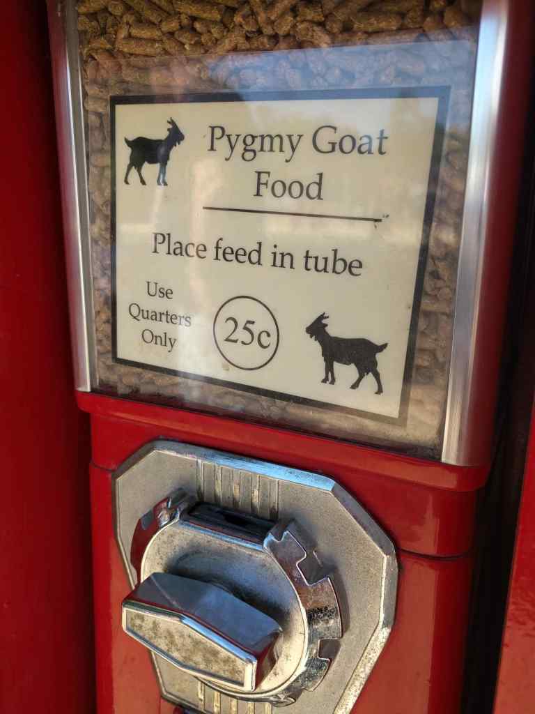 2016-10-03-12-47-27_lr