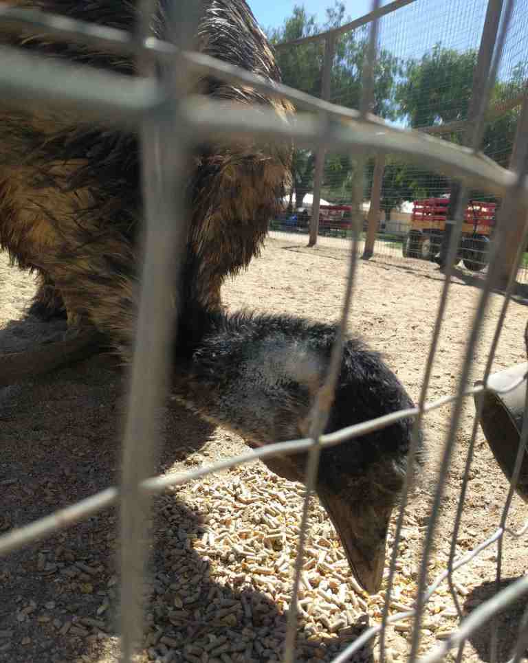 2016-10-03-12-48-41_lr