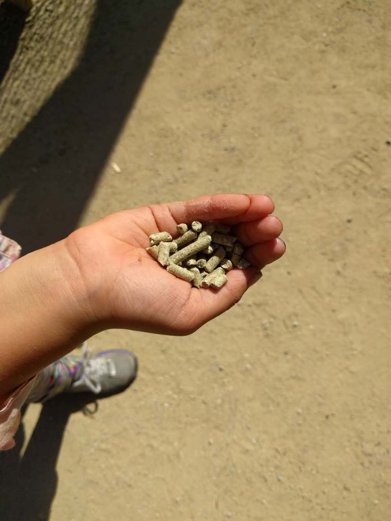 2016-10-03-12-49-47_lr