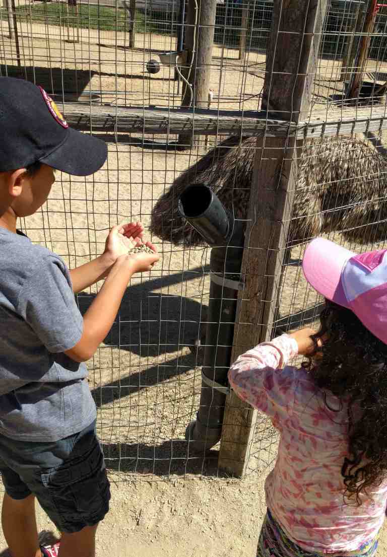 2016-10-03-12-49-57_lr