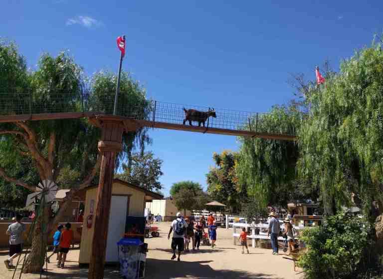 2016-10-03-12-51-26_lr