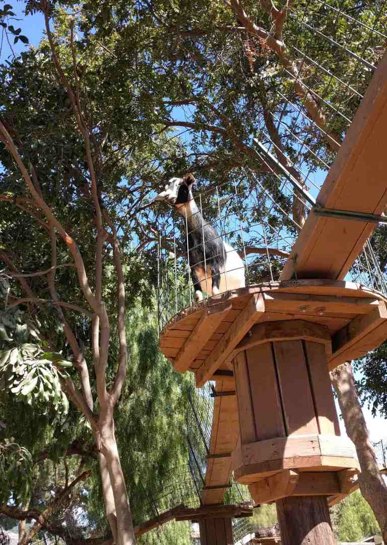 2016-10-03-13-01-32_lr