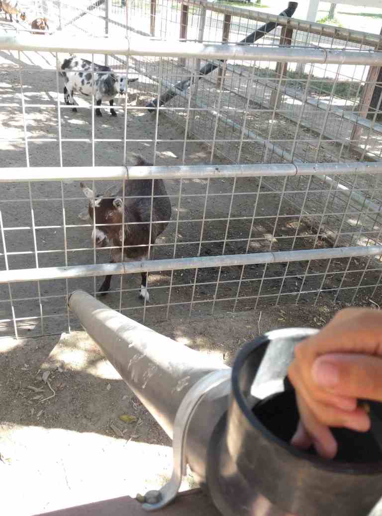 2016-10-03-13-01-58_lr