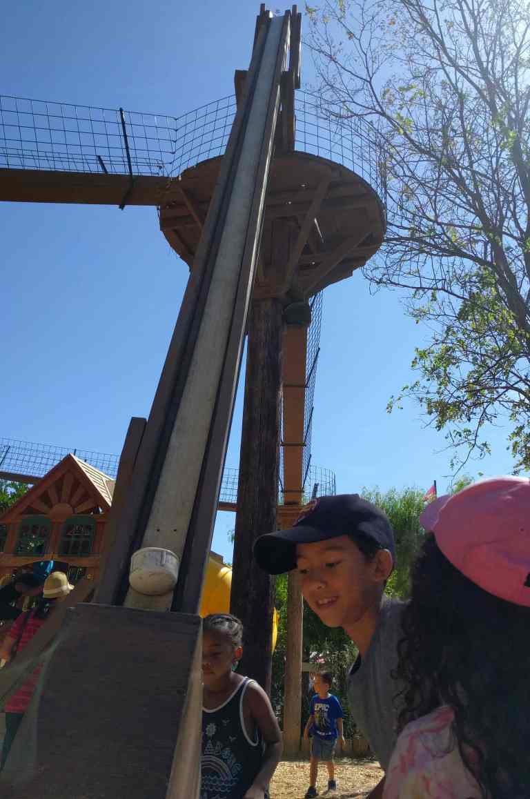 2016-10-03-13-08-18_lr