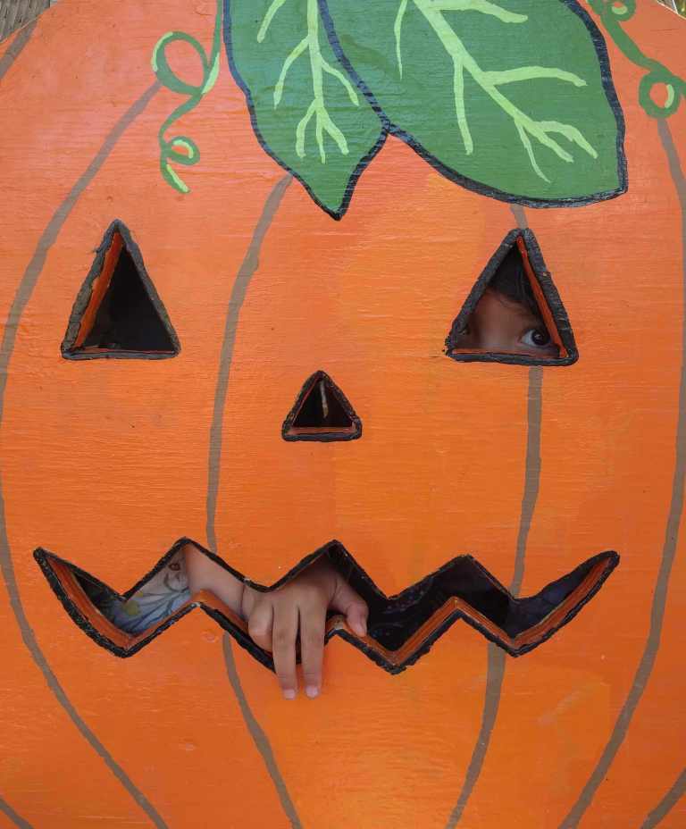 2016-10-03-13-42-00_lr