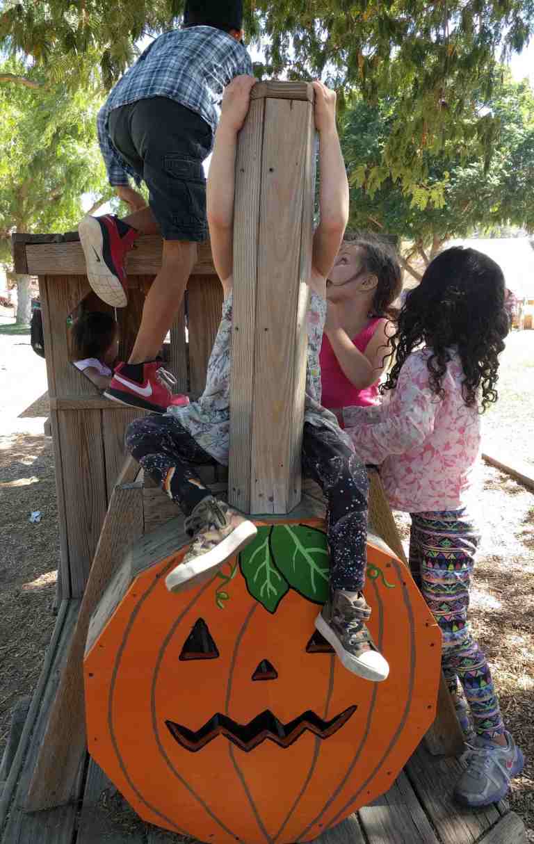 2016-10-03-13-44-19_lr