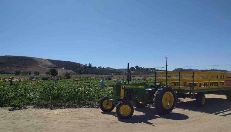 2016-10-03-13-47-46_lr