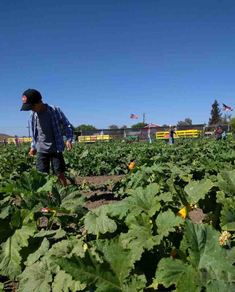 2016-10-03-13-51-51_lr