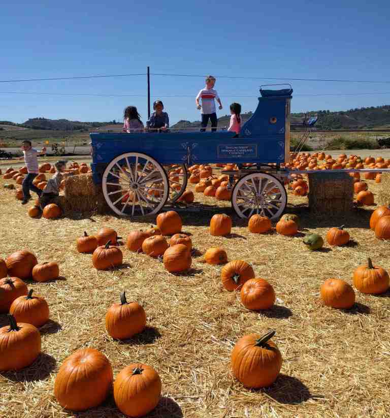 2016-10-03-13-54-21_lr