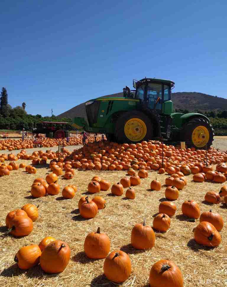 2016-10-03-13-55-01_lr