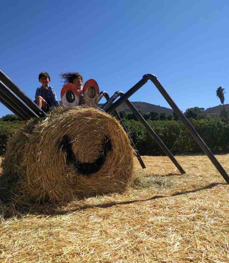 2016-10-03-14-05-16_lr