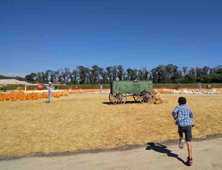 2016-10-03-14-06-29_lr