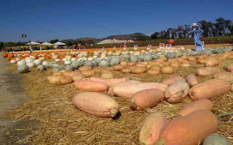 2016-10-03-14-08-19_lr