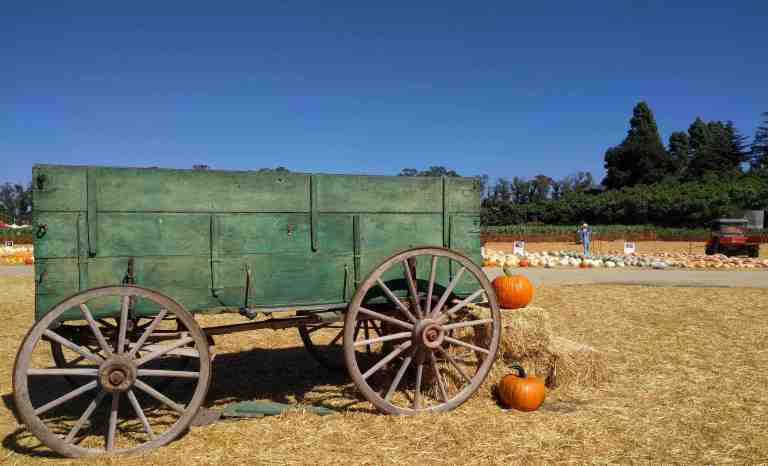 2016-10-03-14-10-55_lr