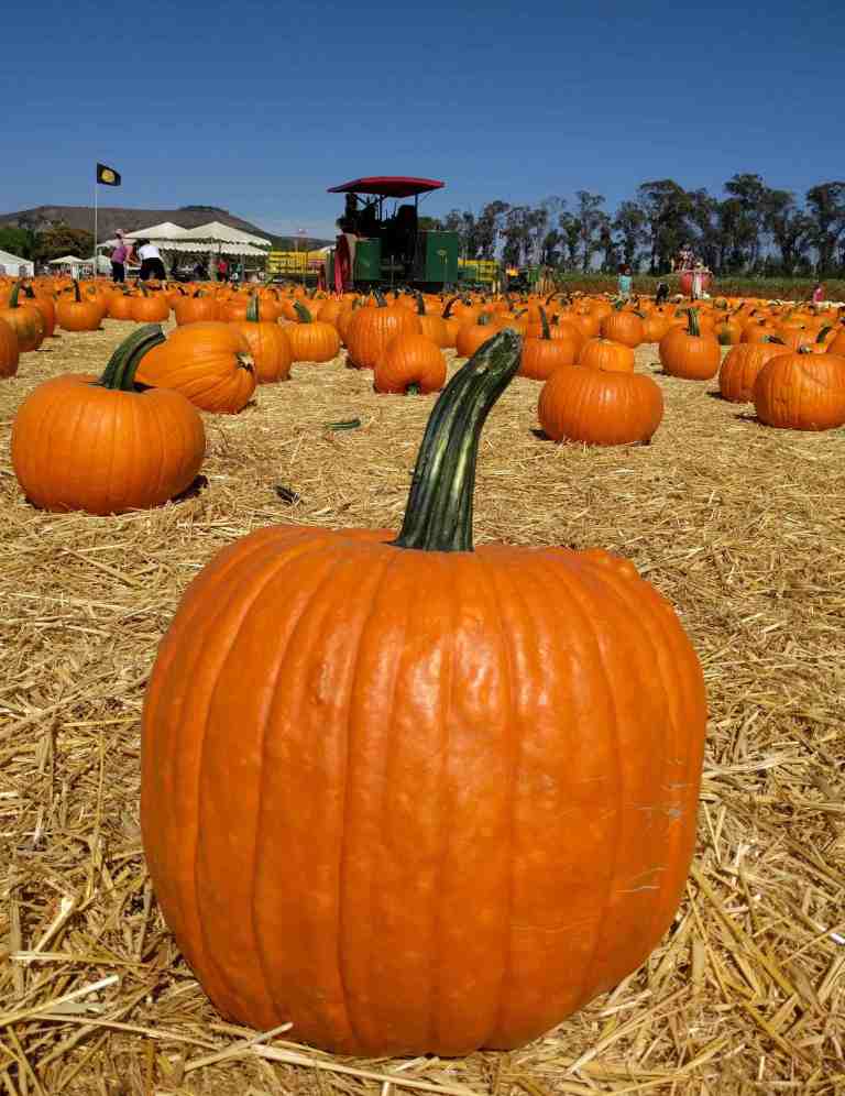 2016-10-03-14-14-09_lr