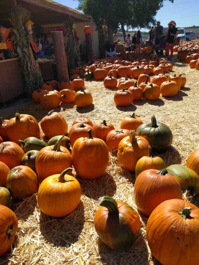 2016-10-03-14-24-11_lr