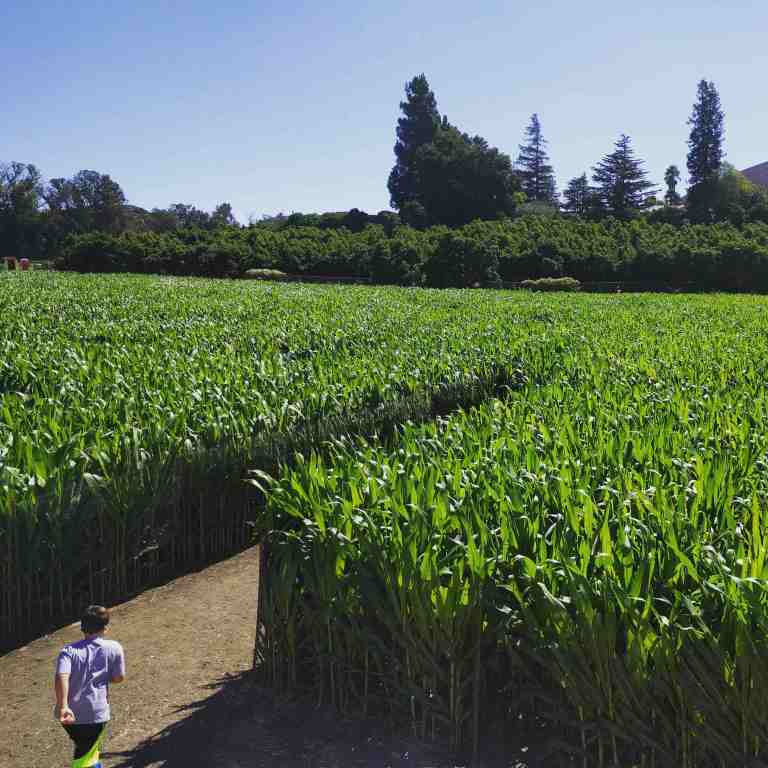 2016-10-03_114714_ig_lr