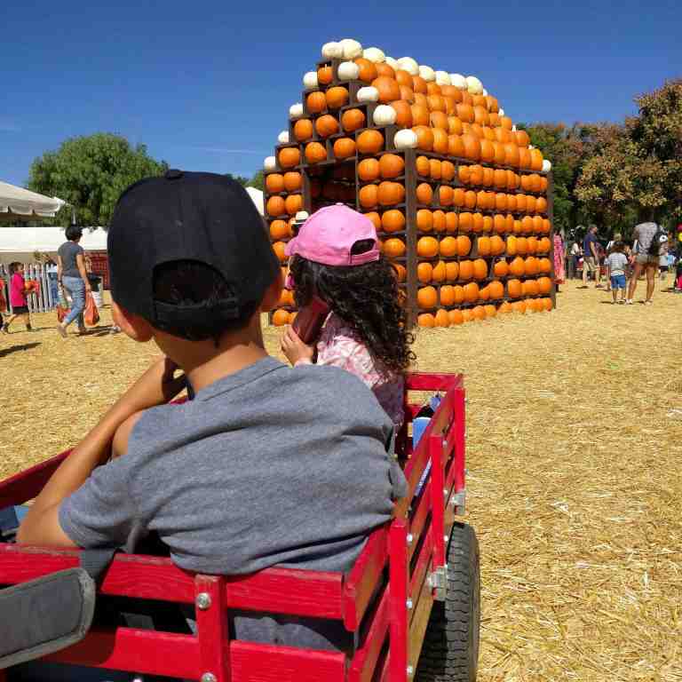 2016-10-03_121610_ig_lr