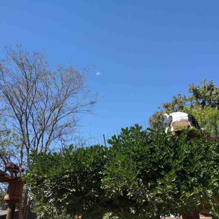 2016-10-03_130014_ig_lr