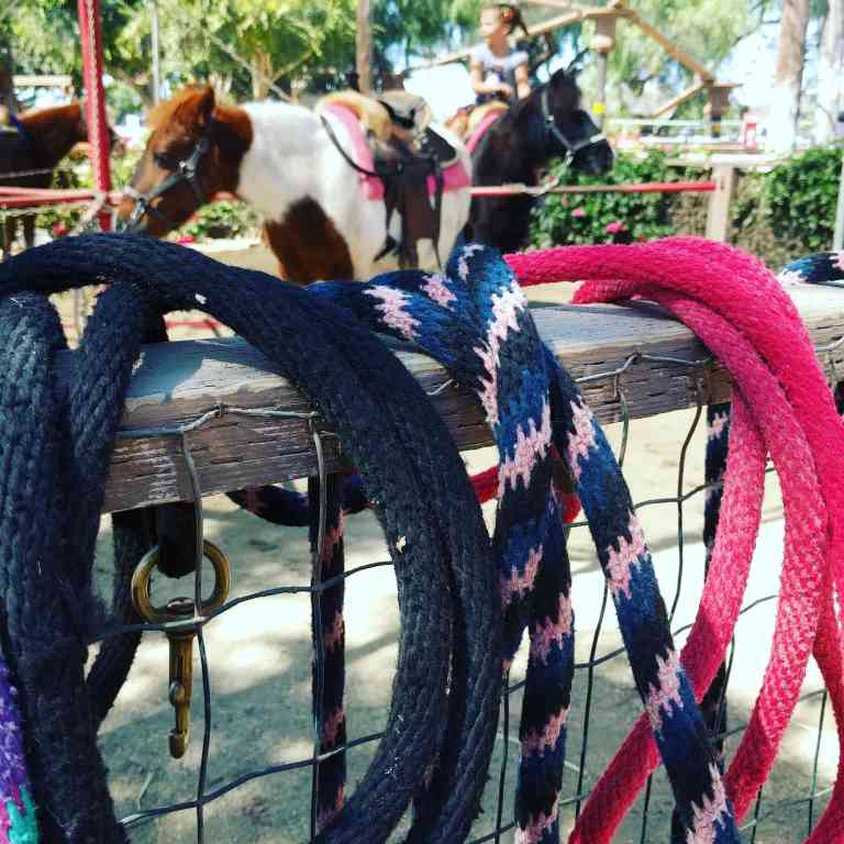 2016-10-03_132100_ig_lr