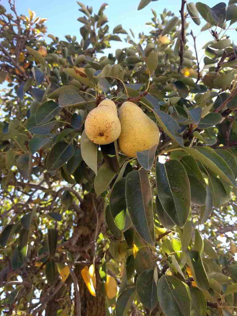 2016-10-08-12-16-19_lr