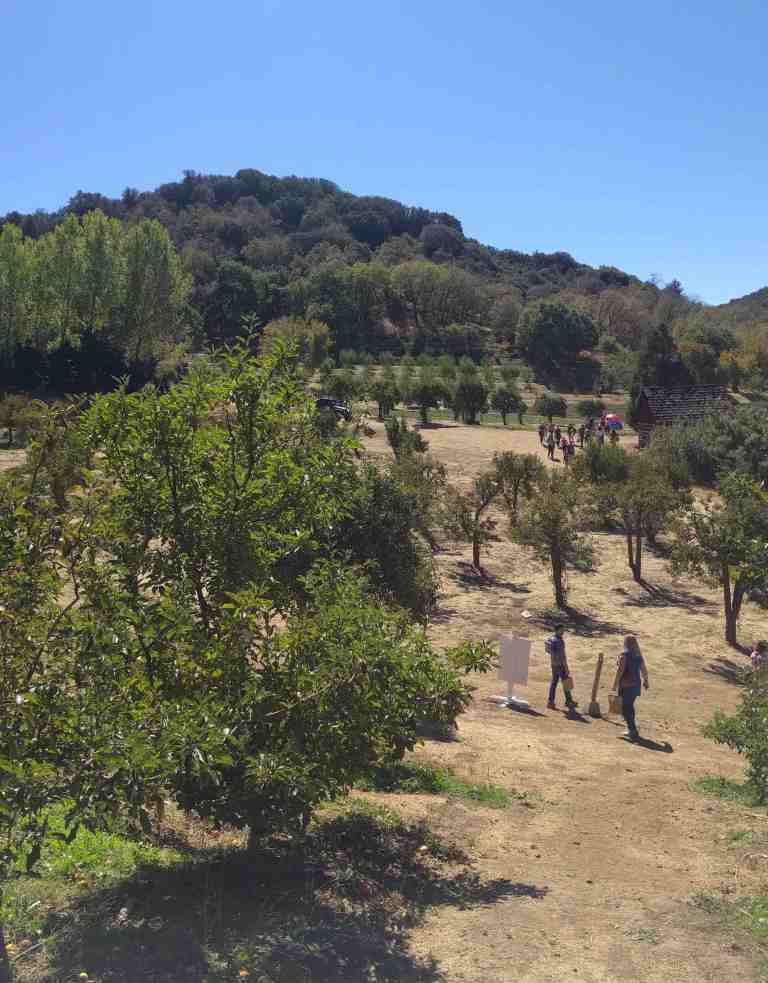 2016-10-08-12-18-11_lr