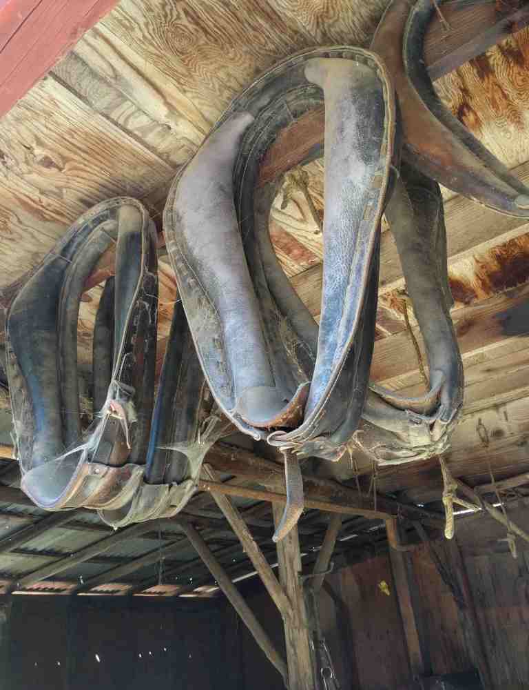 2016-10-08-12-28-56_lr