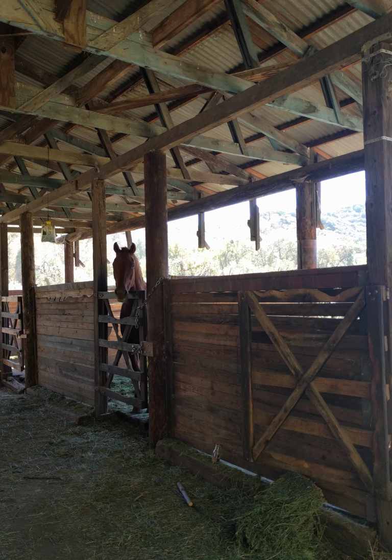 2016-10-08-12-32-43_lr