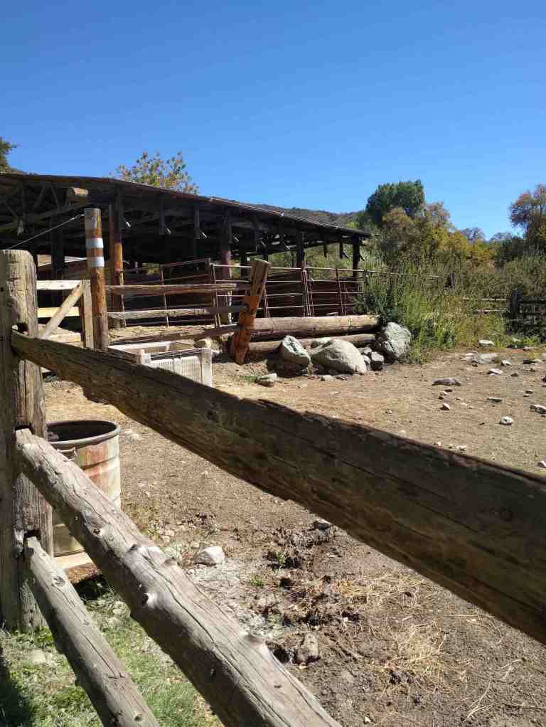 2016-10-08-12-36-18_lr