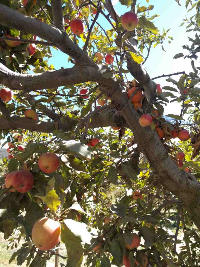 2016-10-08-12-41-12_lr