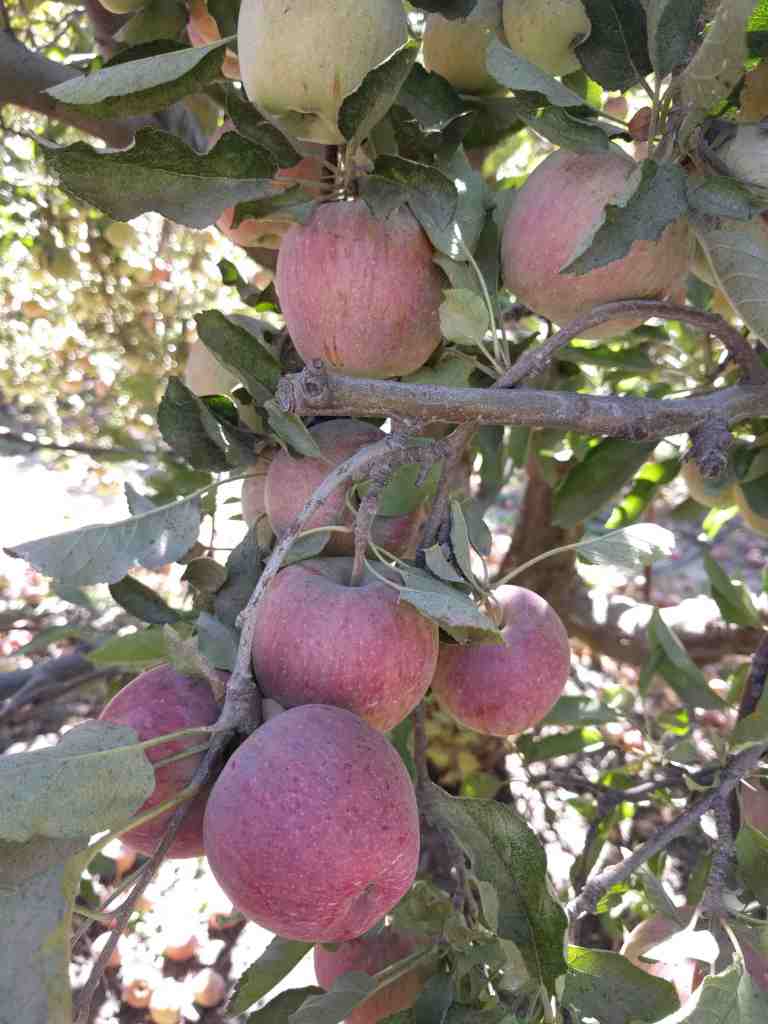 2016-10-08-12-43-00_lr