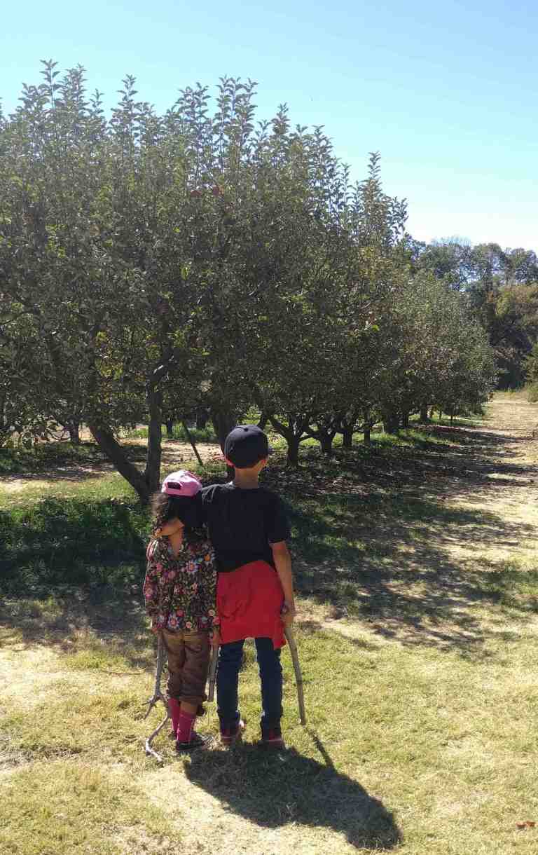 2016-10-08-12-43-41_lr