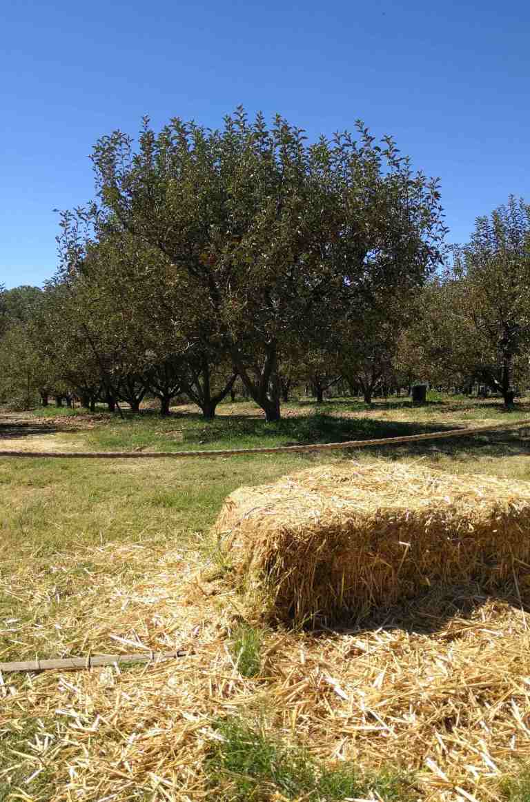 2016-10-08-12-44-43_lr