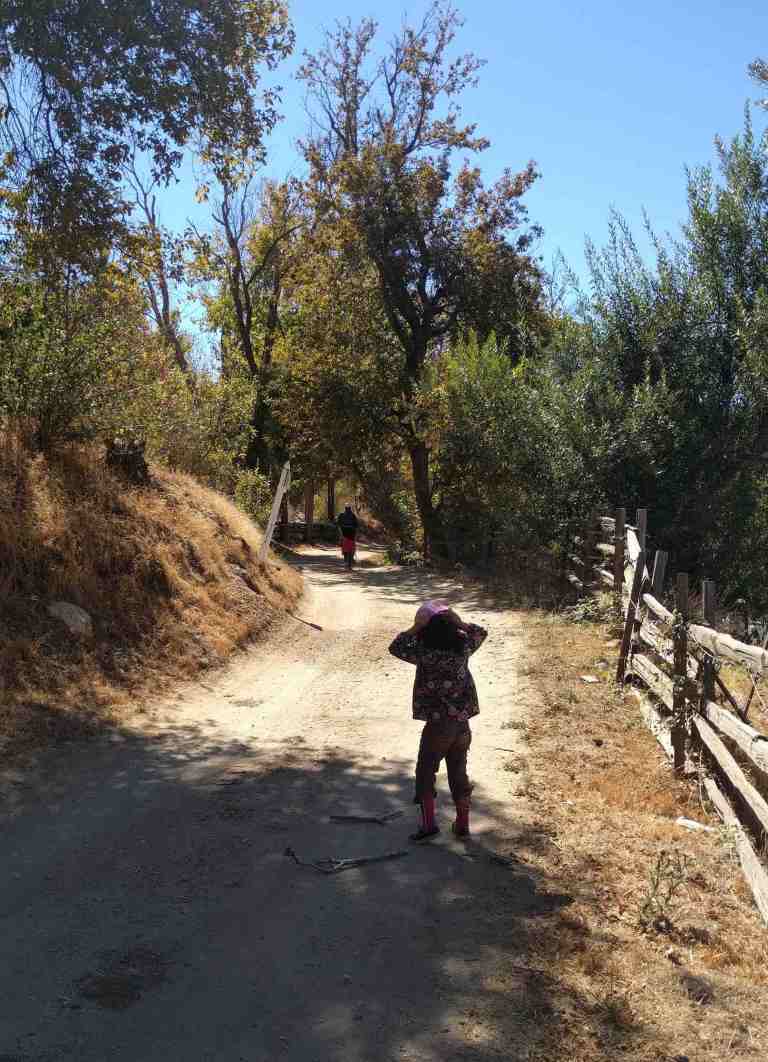 2016-10-08-12-46-52_lr