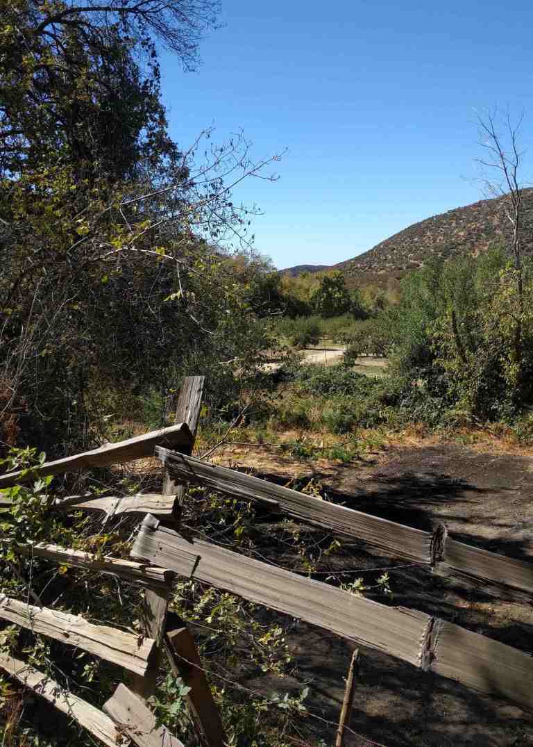 2016-10-08-12-48-37_lr