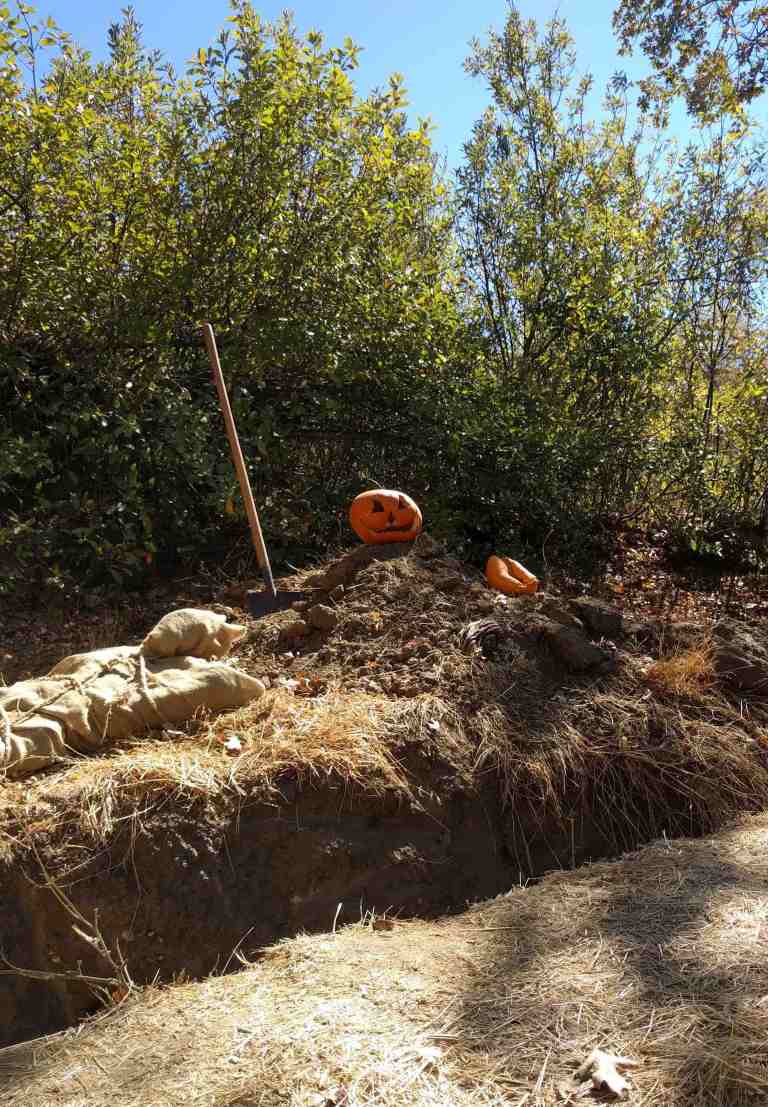 2016-10-08-12-49-12_lr