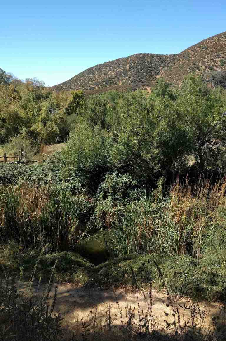 2016-10-08-12-49-55_lr